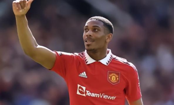 术稳定性 术稳定性